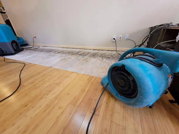 Professional Flood Damage Cleanup technician working in Potosi, MO